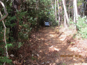 諏訪郡原村中新田、土地の画像です