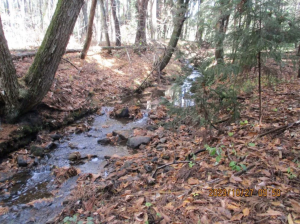 諏訪郡原村中新田、土地の画像です