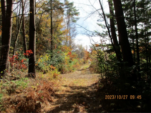 諏訪郡原村中新田、土地の画像です