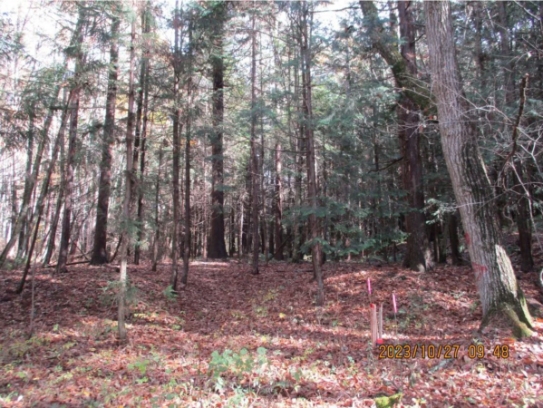 諏訪郡原村中新田、土地の画像です
