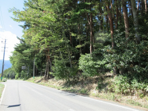 諏訪郡富士見町、土地の画像です