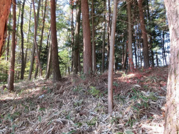 諏訪郡富士見町、土地の画像です