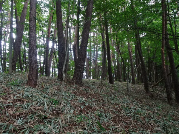 諏訪郡富士見町、土地の画像です