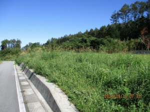 諏訪郡富士見町富士見、土地の画像です