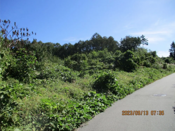 諏訪郡富士見町富士見、土地の画像です