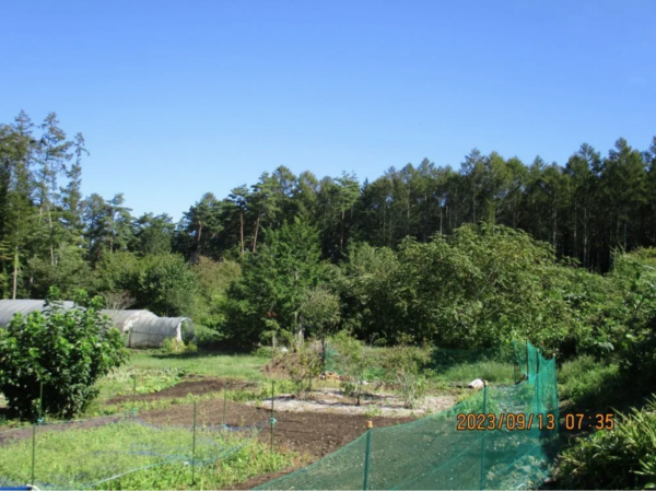 諏訪郡富士見町富士見、土地の画像です