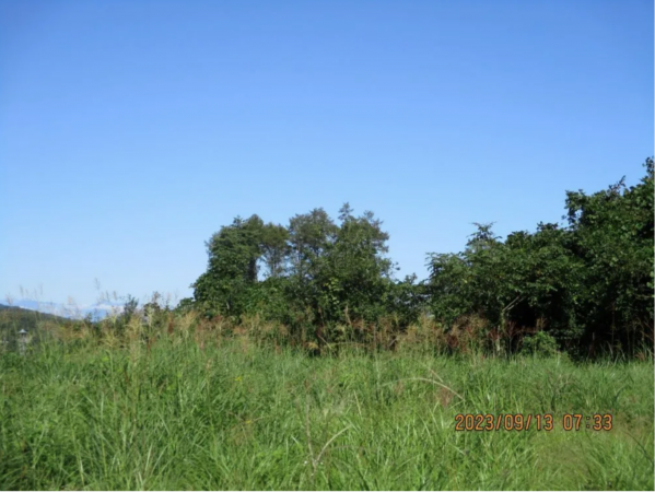 諏訪郡富士見町富士見、土地の画像です