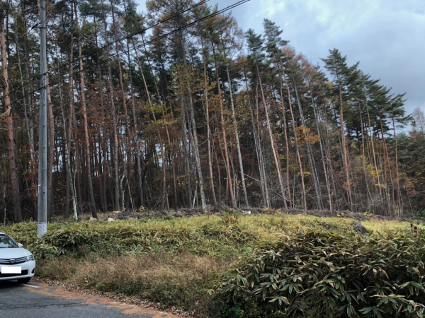 諏訪郡富士見町立沢、土地の画像です