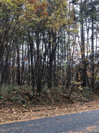 諏訪郡富士見町立沢、土地の画像です