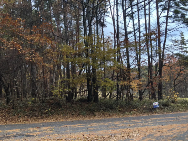 諏訪郡富士見町立沢、土地の画像です