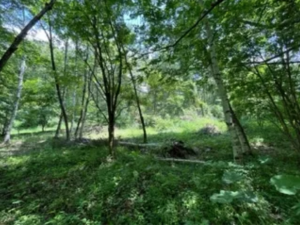 諏訪郡富士見町立沢、土地の画像です