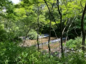 諏訪郡富士見町立沢、土地の画像です