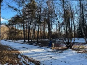 諏訪郡富士見町立沢、土地の画像です