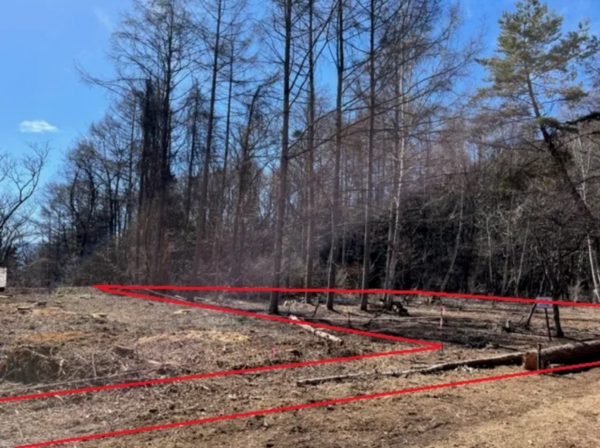 諏訪郡富士見町立沢、土地の画像です