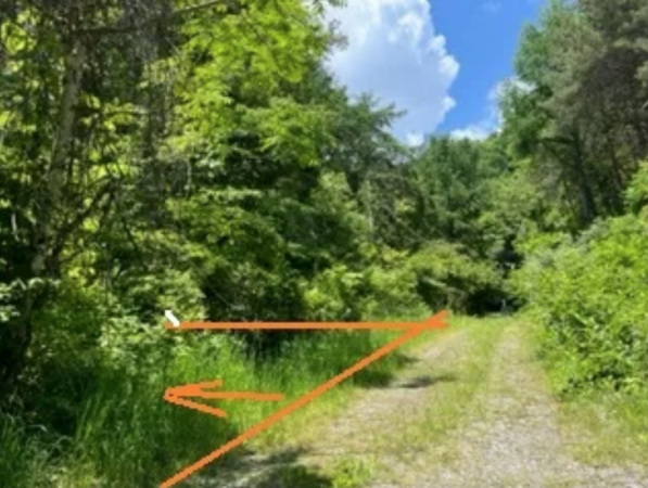 諏訪郡富士見町立沢、土地の画像です