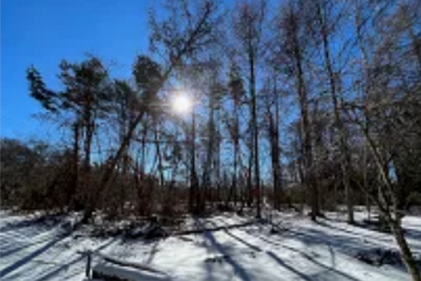 諏訪郡富士見町立沢、土地の画像です