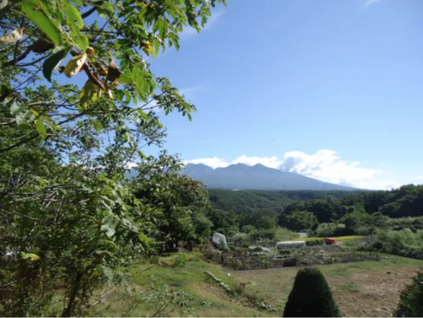 諏訪郡富士見町富士見、土地の画像です