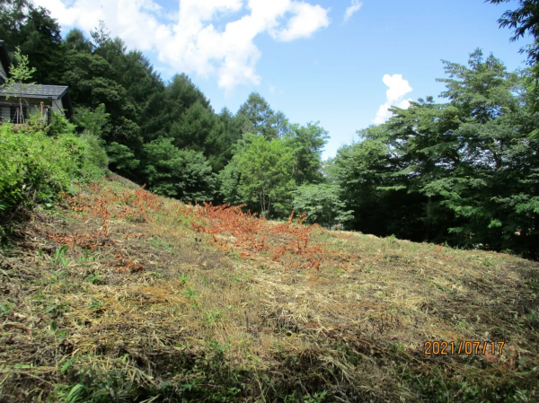 諏訪郡富士見町、土地の画像です