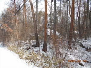 諏訪郡富士見町立沢、土地の画像です