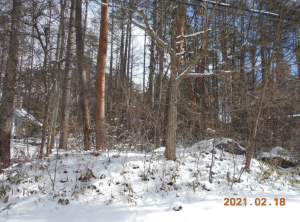 諏訪郡富士見町立沢、土地の画像です