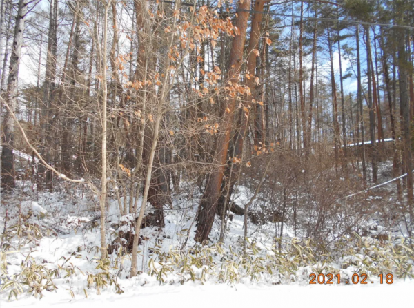 諏訪郡富士見町立沢、土地の画像です