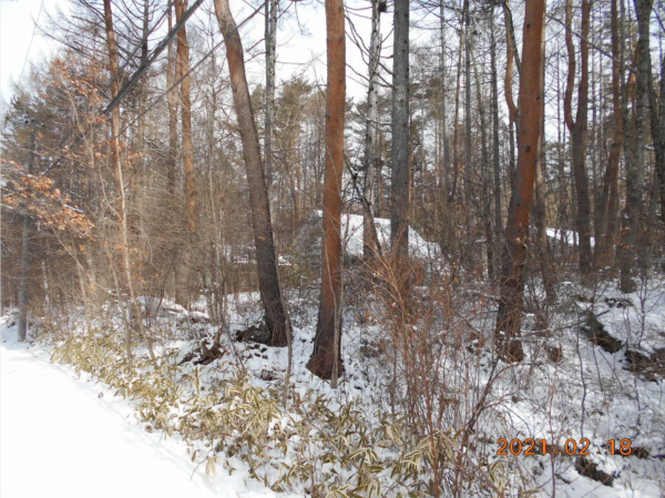 諏訪郡富士見町立沢、土地の画像です