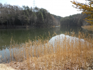 諏訪郡富士見町、土地の画像です