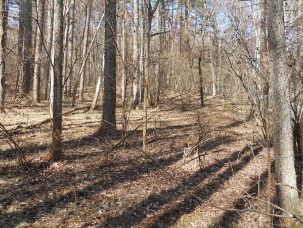 諏訪郡富士見町、土地の画像です