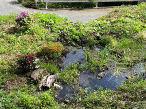 諏訪郡富士見町富士見、土地の画像です