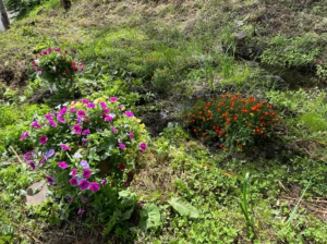 諏訪郡富士見町富士見、土地の画像です