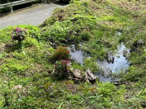 諏訪郡富士見町富士見、土地の画像です