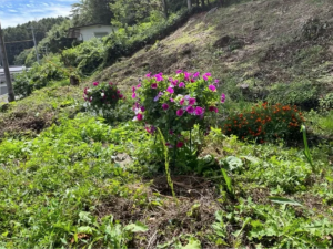 諏訪郡富士見町富士見、土地の画像です