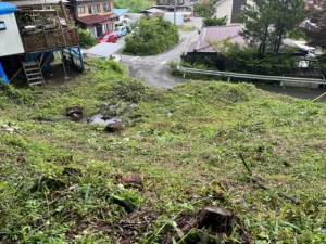 諏訪郡富士見町富士見、土地の画像です