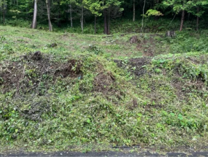 諏訪郡富士見町富士見、土地の画像です