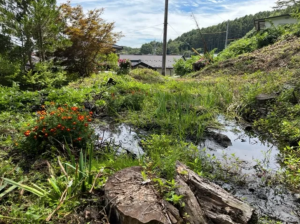 諏訪郡富士見町富士見、土地の画像です