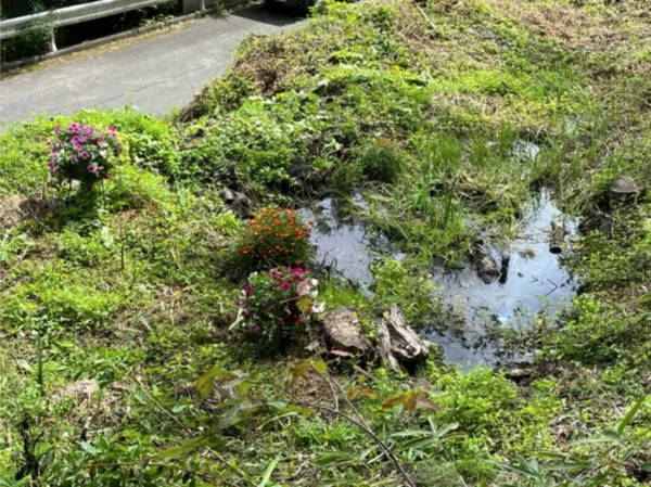 諏訪郡富士見町富士見、土地の画像です