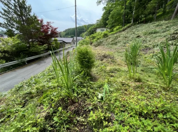 諏訪郡富士見町富士見、土地の画像です