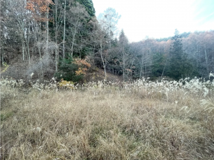 茅野市宮川、土地の画像です