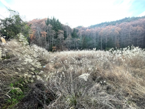 茅野市宮川、土地の画像です