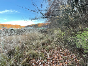 茅野市宮川、土地の画像です