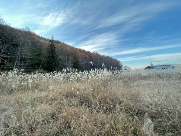 茅野市宮川、土地の画像です