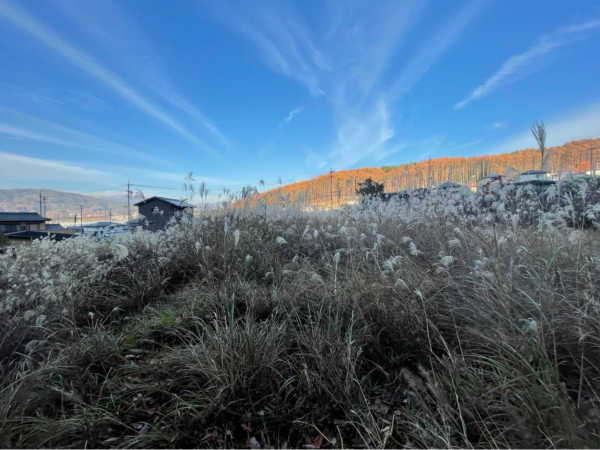 茅野市宮川、土地の画像です