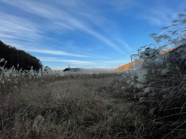 茅野市宮川、土地の画像です