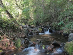 茅野市北山、土地の画像です