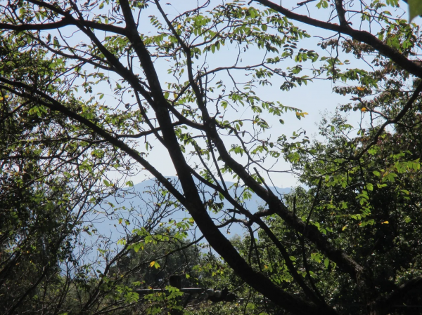 茅野市北山、土地の画像です
