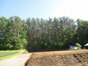 茅野市豊平、土地の画像です
