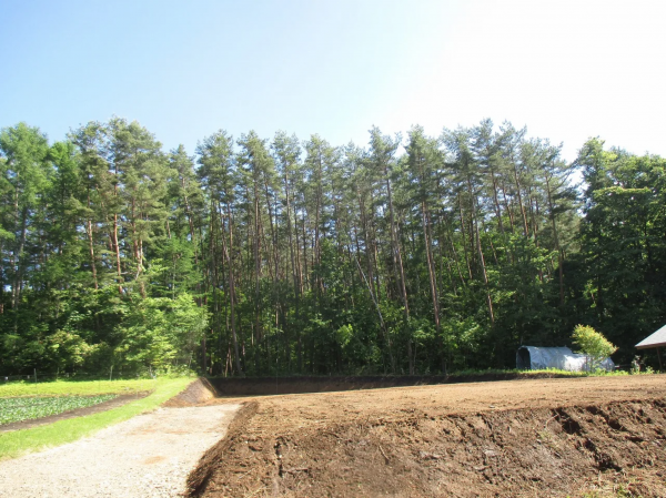 茅野市豊平、土地の画像です