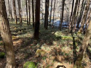 茅野市豊平、土地の画像です