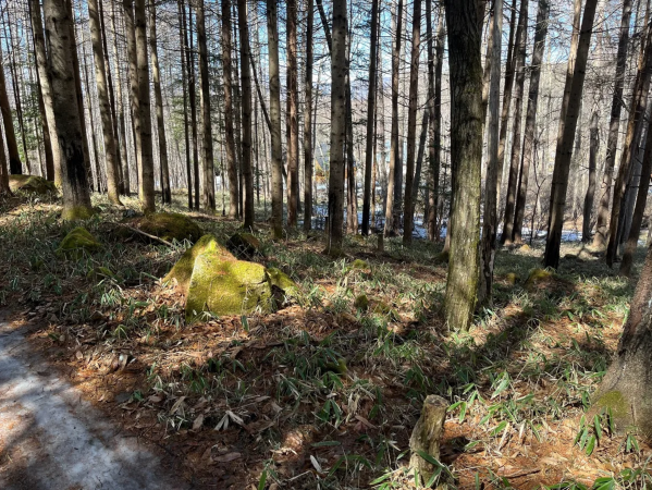 茅野市豊平、土地の画像です