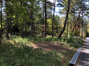 茅野市豊平、土地の画像です